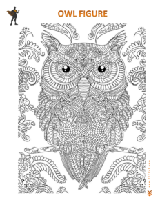Owl Refuze Coloring Meditation